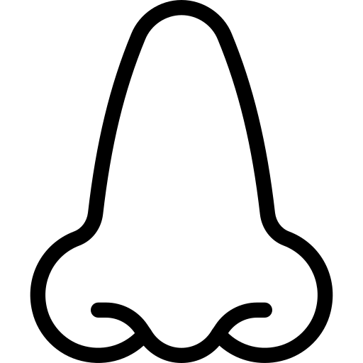 Operacja nosa